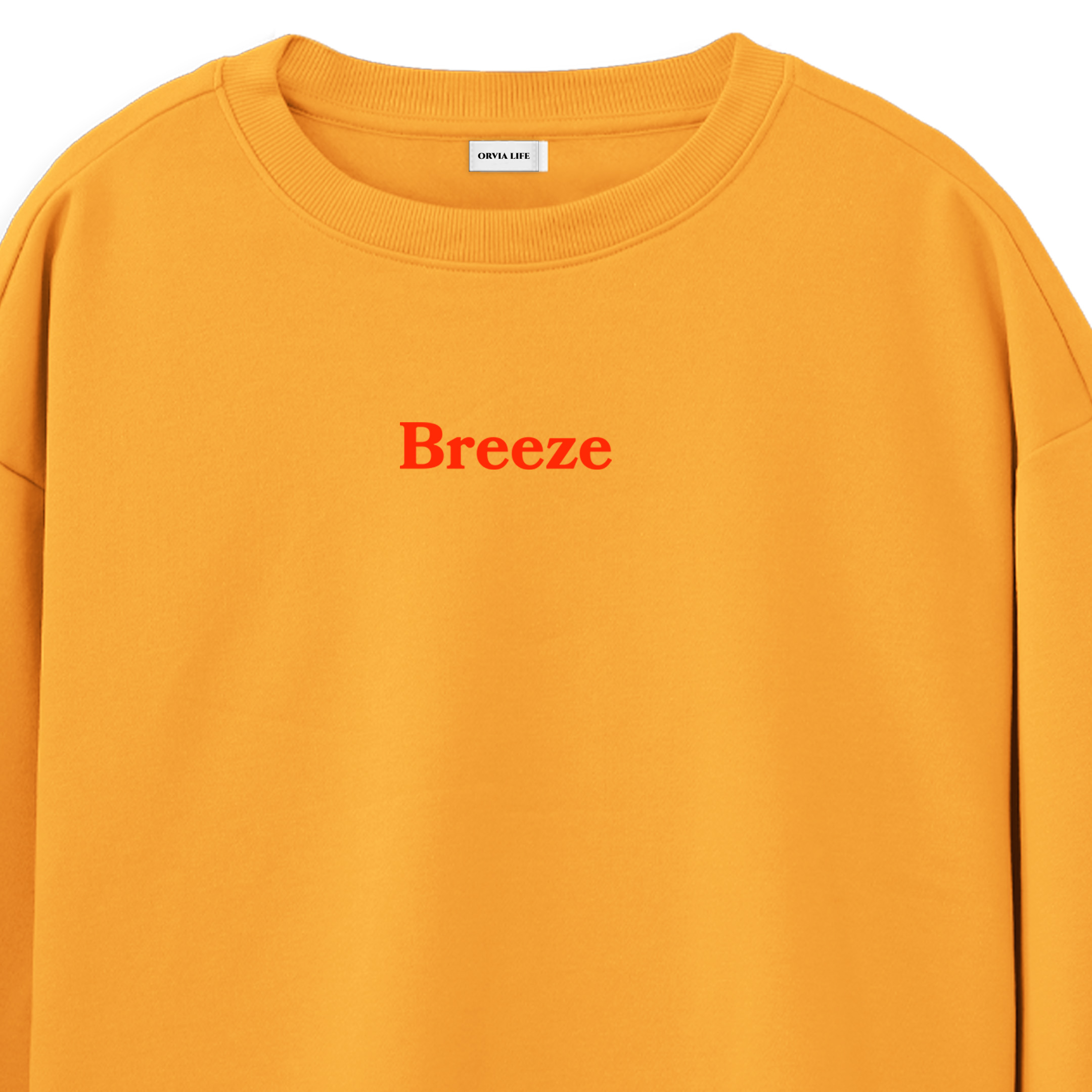 Breeze%20-%20Regular%20Sweatshirt%20Portakal