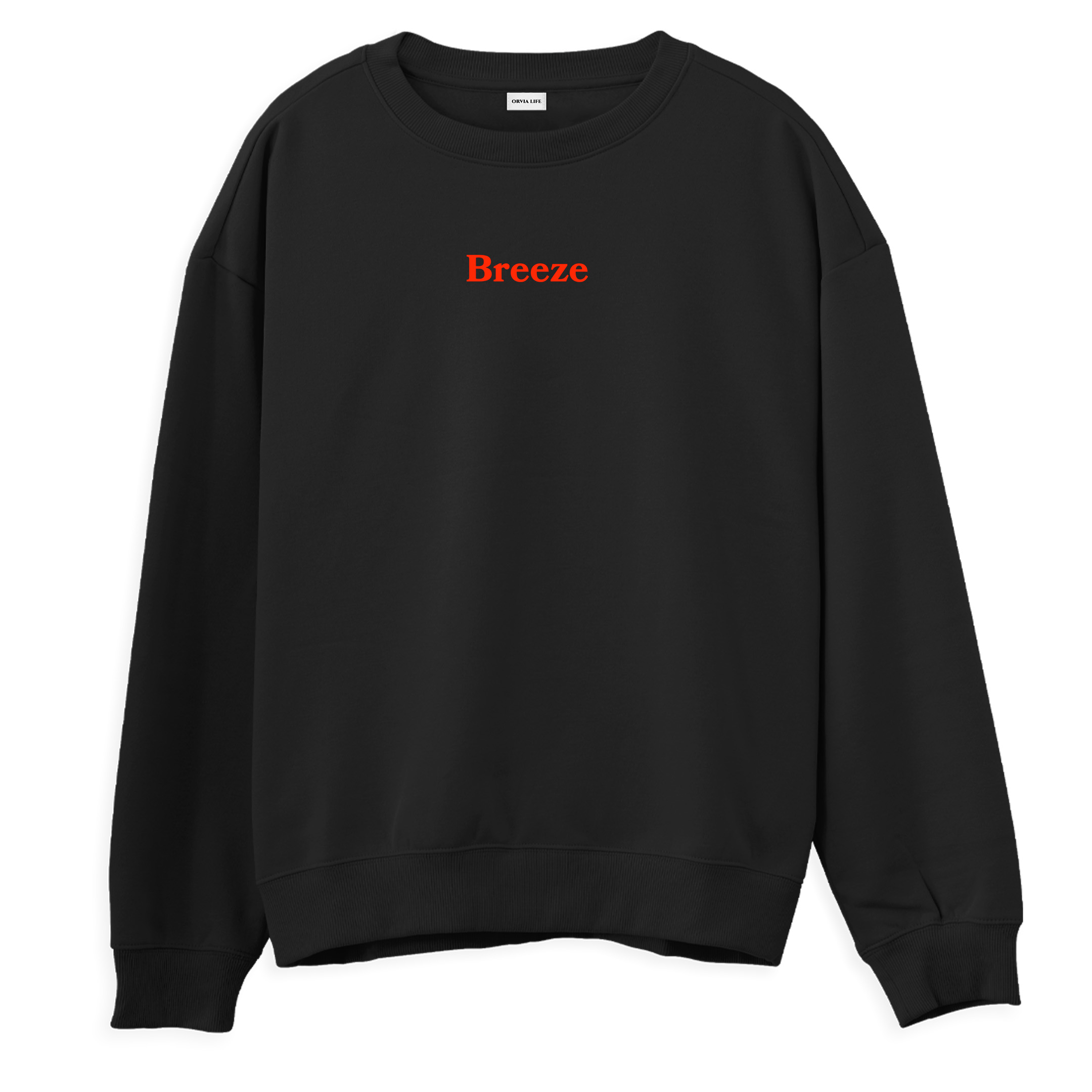 Breeze%20-%20Regular%20Sweatshirt%20Siyah